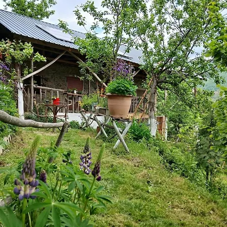 Karma Classic Tiny House Above The Holiday home